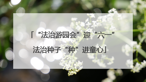 “法治游园会”迎“六一” 法治种子“种”进童心