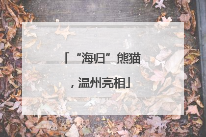 “海归”熊猫，温州亮相