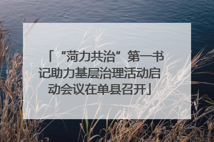 “菏力共治”第一书记助力基层治理活动启动会议在单县召开