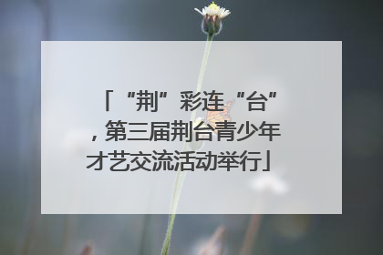 “荆”彩连“台”，第三届荆台青少年才艺交流活动举行