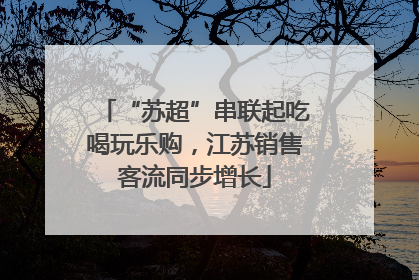 “苏超”串联起吃喝玩乐购，江苏销售客流同步增长