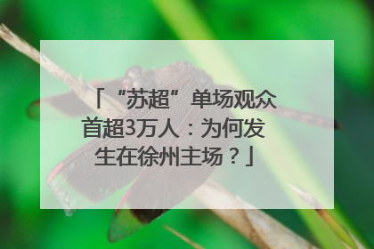 “苏超”单场观众首超3万人：为何发生在徐州主场？