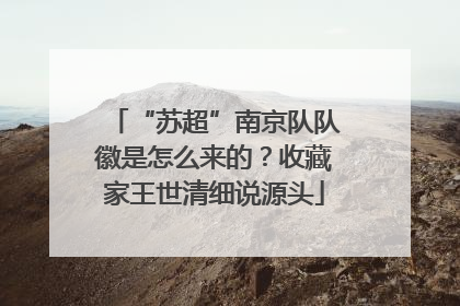 “苏超”南京队队徽是怎么来的？收藏家王世清细说源头