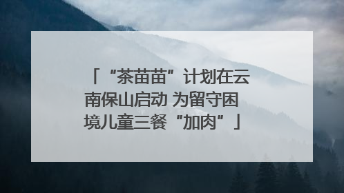 “茶苗苗”计划在云南保山启动 为留守困境儿童三餐“加肉”