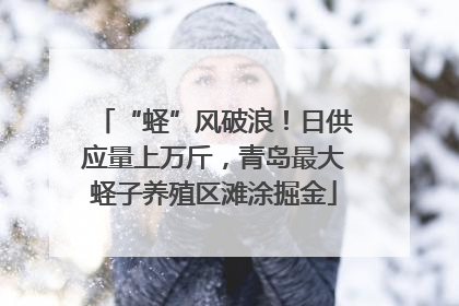 “蛏”风破浪！日供应量上万斤，青岛最大蛏子养殖区滩涂掘金