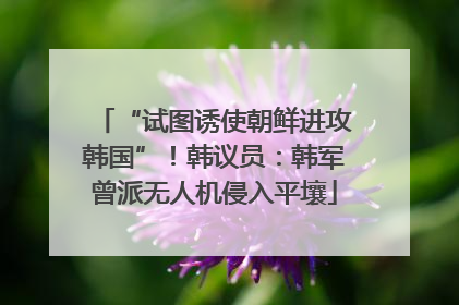 “试图诱使朝鲜进攻韩国”！韩议员：韩军曾派无人机侵入平壤