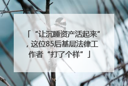 “让沉睡资产活起来”，这位85后基层法律工作者“打了个样”