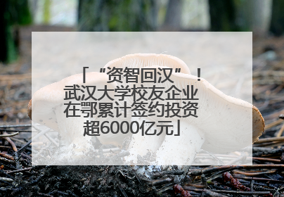 “资智回汉”！武汉大学校友企业在鄂累计签约投资超6000亿元