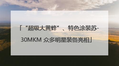 “超级大黄蜂”、特色涂装苏-30MKM 众多明星装备亮相