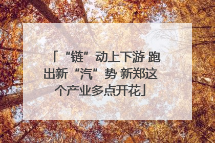 “链”动上下游 跑出新“汽”势 新郑这个产业多点开花