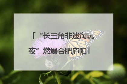 “长三角非遗淘玩夜”燃爆合肥庐阳