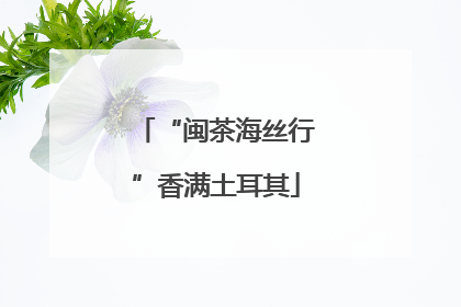 “闽茶海丝行”香满土耳其