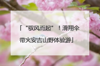 “驭风而起”！滑翔伞带火安吉山野体验游