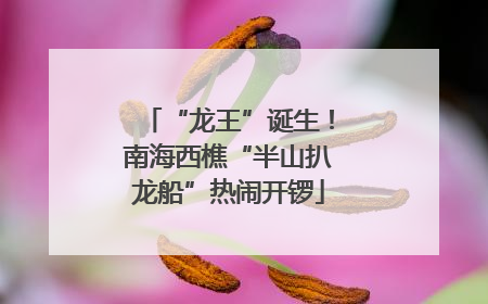 “龙王”诞生！南海西樵“半山扒龙船”热闹开锣