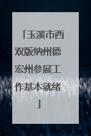 玉溪市西双版纳州德宏州参展工作基本就绪