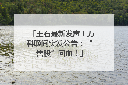 王石最新发声！万科晚间突发公告：“售股”回血！
