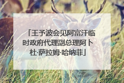 王予波会见阿富汗临时政府代理副总理阿卜杜·萨拉姆·哈纳菲