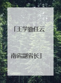 王学勤任云南省副省长