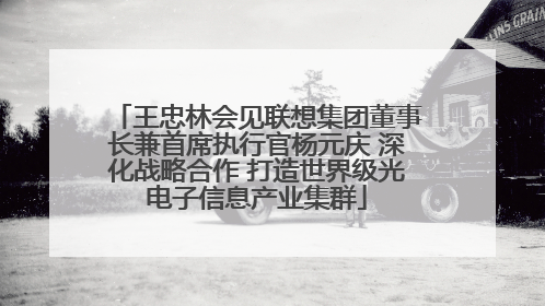王忠林会见联想集团董事长兼首席执行官杨元庆 深化战略合作 打造世界级光电子信息产业集群
