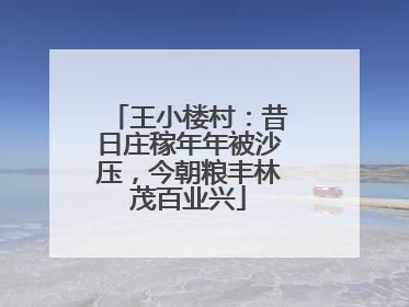 王小楼村：昔日庄稼年年被沙压，今朝粮丰林茂百业兴