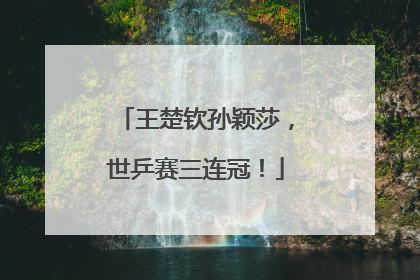 王楚钦孙颖莎，世乒赛三连冠！