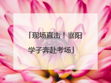 现场直击！襄阳学子奔赴考场