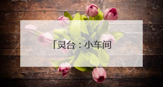 灵台：小车间榨出乡村全面振兴“幸福油”