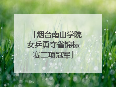烟台南山学院女乒勇夺省锦标赛三项冠军