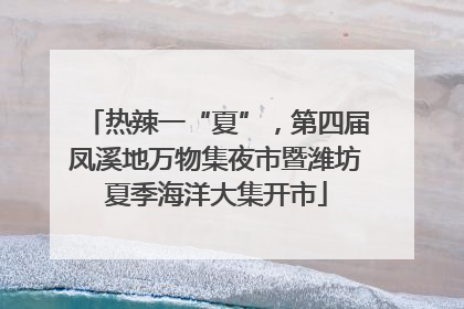 热辣一“夏”，第四届凤溪地万物集夜市暨潍坊夏季海洋大集开市