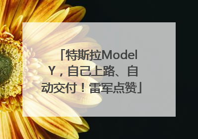 特斯拉Model Y，自己上路、自动交付！雷军点赞