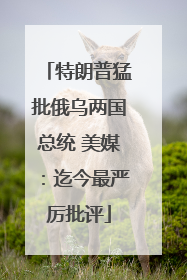 特朗普猛批俄乌两国总统 美媒：迄今最严厉批评