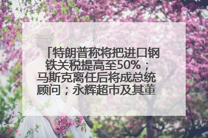 特朗普称将把进口钢铁关税提高至50%；马斯克离任后将成总统顾问；永辉超市及其董事长，被限制高消费；比亚迪回应“汽车圈恒大”丨每经早参