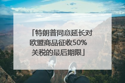 特朗普同意延长对欧盟商品征收50%关税的最后期限