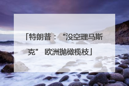 特朗普：“没空理马斯克” 欧洲抛橄榄枝