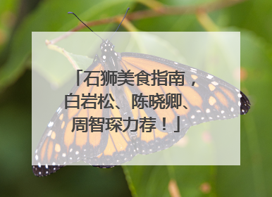 石狮美食指南，白岩松、陈晓卿、周智琛力荐！