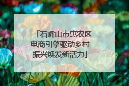 石嘴山市惠农区电商引擎驱动乡村振兴焕发新活力