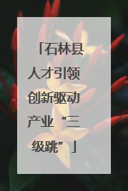 石林县人才引领创新驱动产业“三级跳”