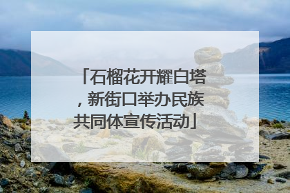 石榴花开耀白塔，新街口举办民族共同体宣传活动