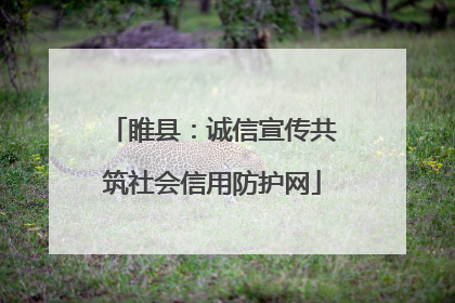 睢县：诚信宣传共筑社会信用防护网