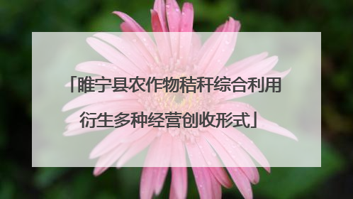 睢宁县农作物秸秆综合利用 衍生多种经营创收形式