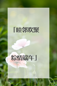 睦邻欢聚 粽情端午