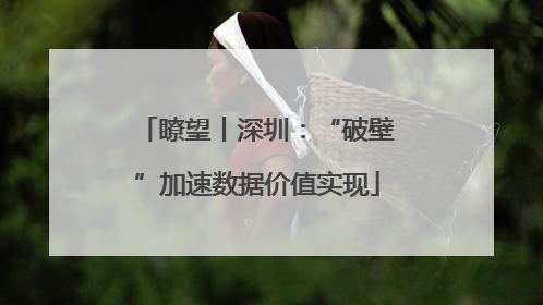 瞭望丨深圳：“破壁”加速数据价值实现