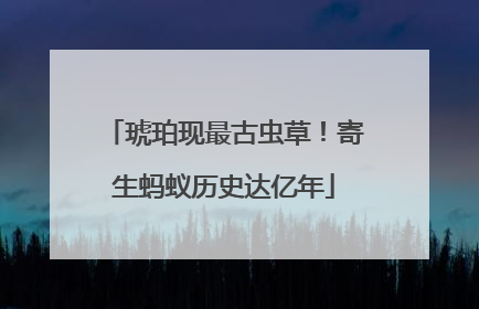琥珀现最古虫草！寄生蚂蚁历史达亿年