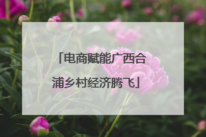 电商赋能广西合浦乡村经济腾飞