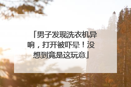 男子发现洗衣机异响，打开被吓晕！没想到竟是这玩意