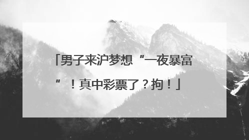 男子来沪梦想“一夜暴富”！真中彩票了？拘！