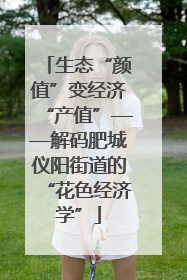 生态“颜值”变经济“产值”——解码肥城仪阳街道的“花色经济学”