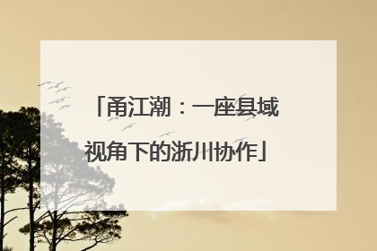 甬江潮：一座县域视角下的浙川协作