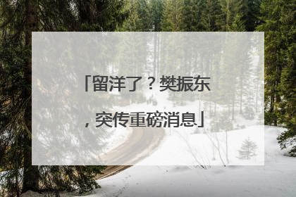 留洋了？樊振东，突传重磅消息