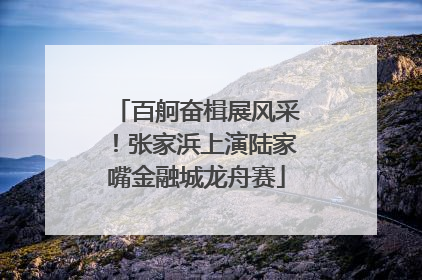 百舸奋楫展风采！张家浜上演陆家嘴金融城龙舟赛